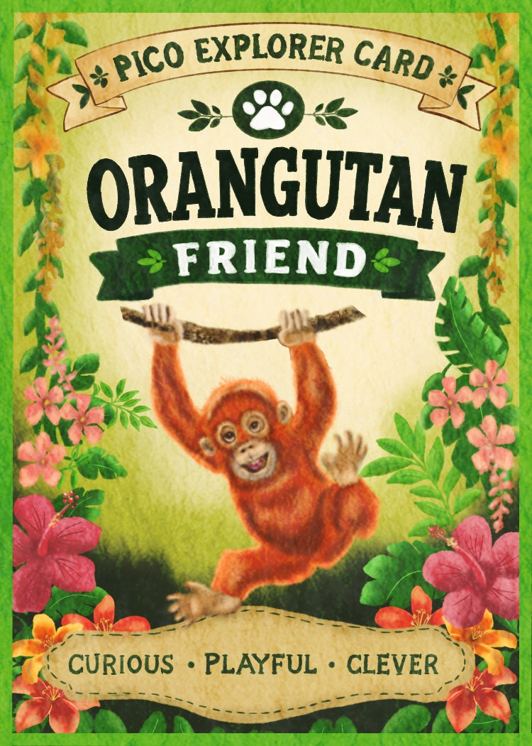 Pico’s Jungle Adventure Explorer Card Collection - FREE Shipping