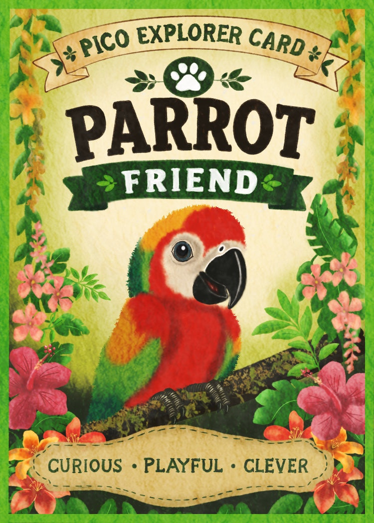 Pico’s Jungle Adventure Explorer Card Collection - FREE Shipping