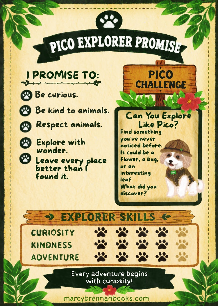 Pico’s Jungle Adventure Explorer Card Collection - FREE Shipping