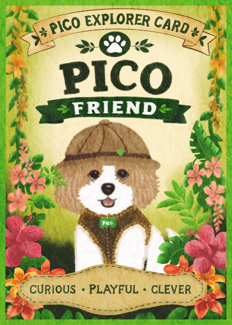 Pico’s Jungle Adventure Explorer Card Collection - FREE Shipping
