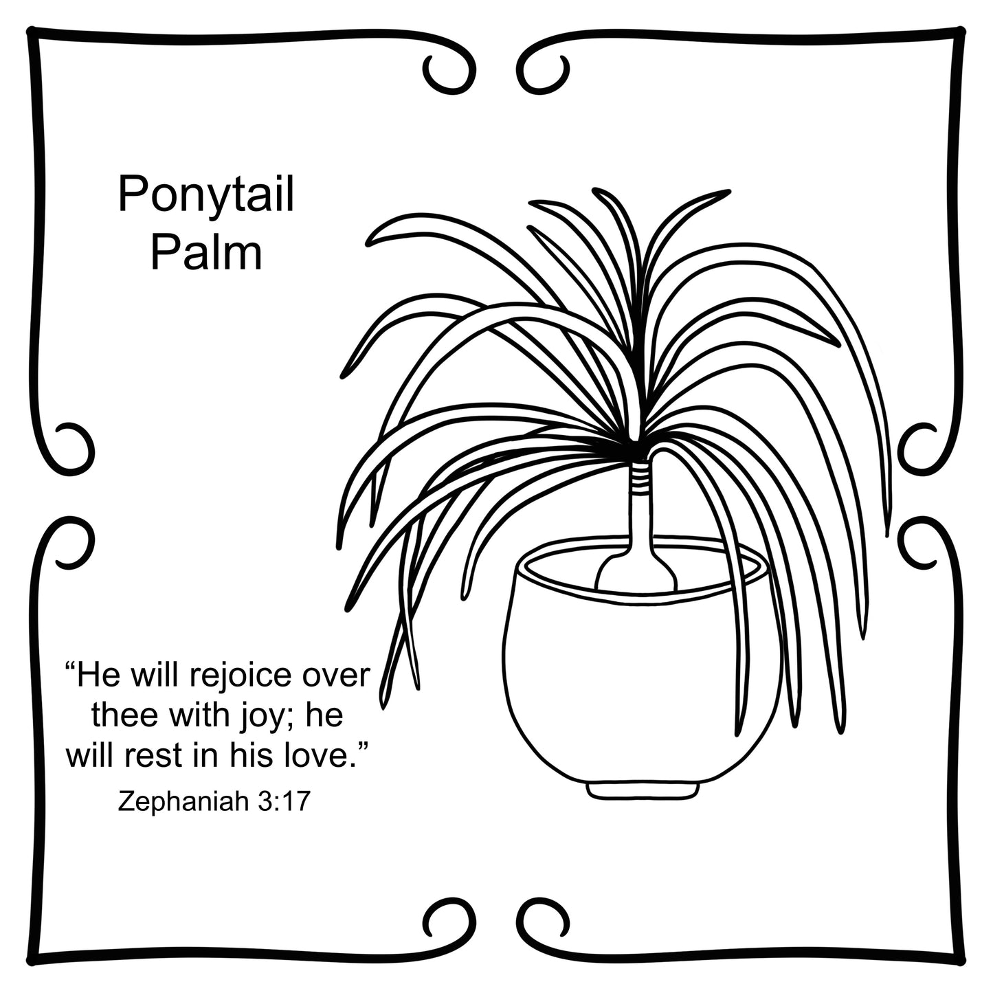 Faith & Houseplants