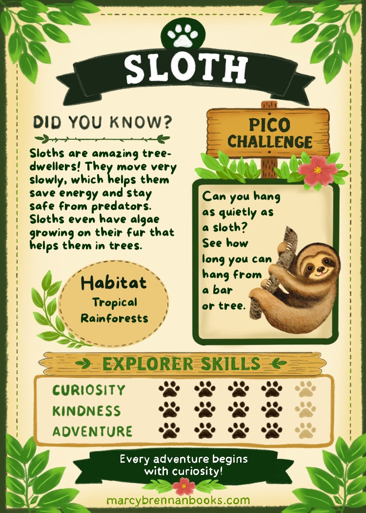Pico’s Jungle Adventure Explorer Card Collection - FREE Shipping