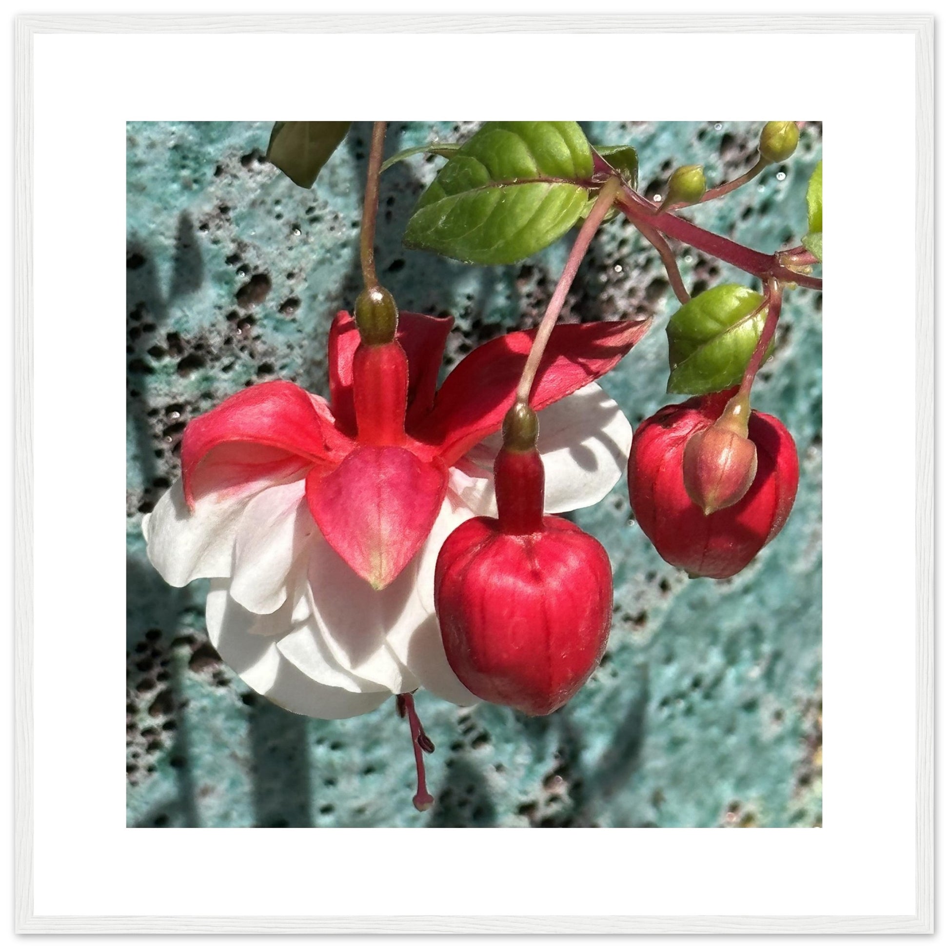 ccde3a59-7fdf-4756-a3ad-f6f523faf686