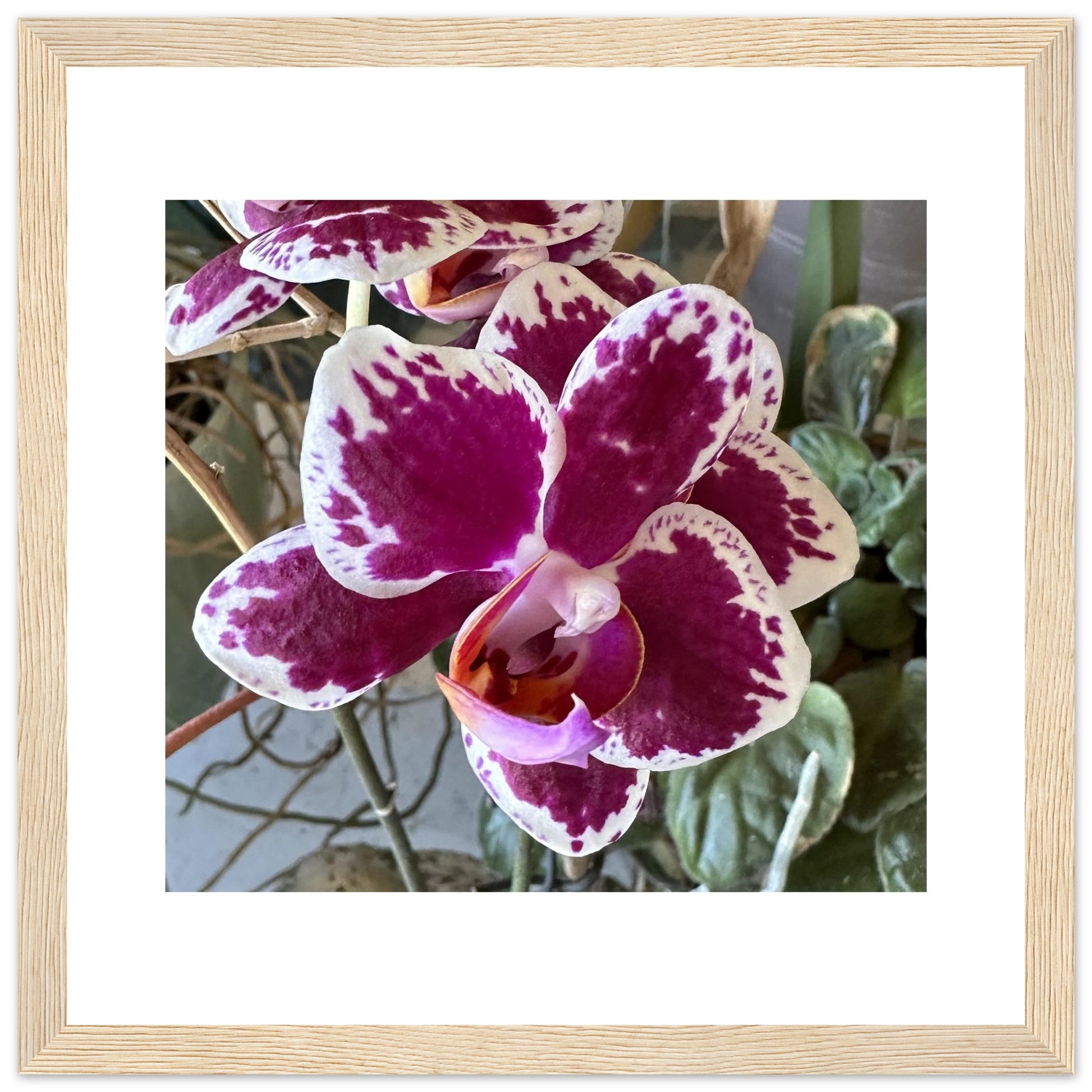 d27ef9dd-ca18-4cc8-b14e-bdf1bfdd544e