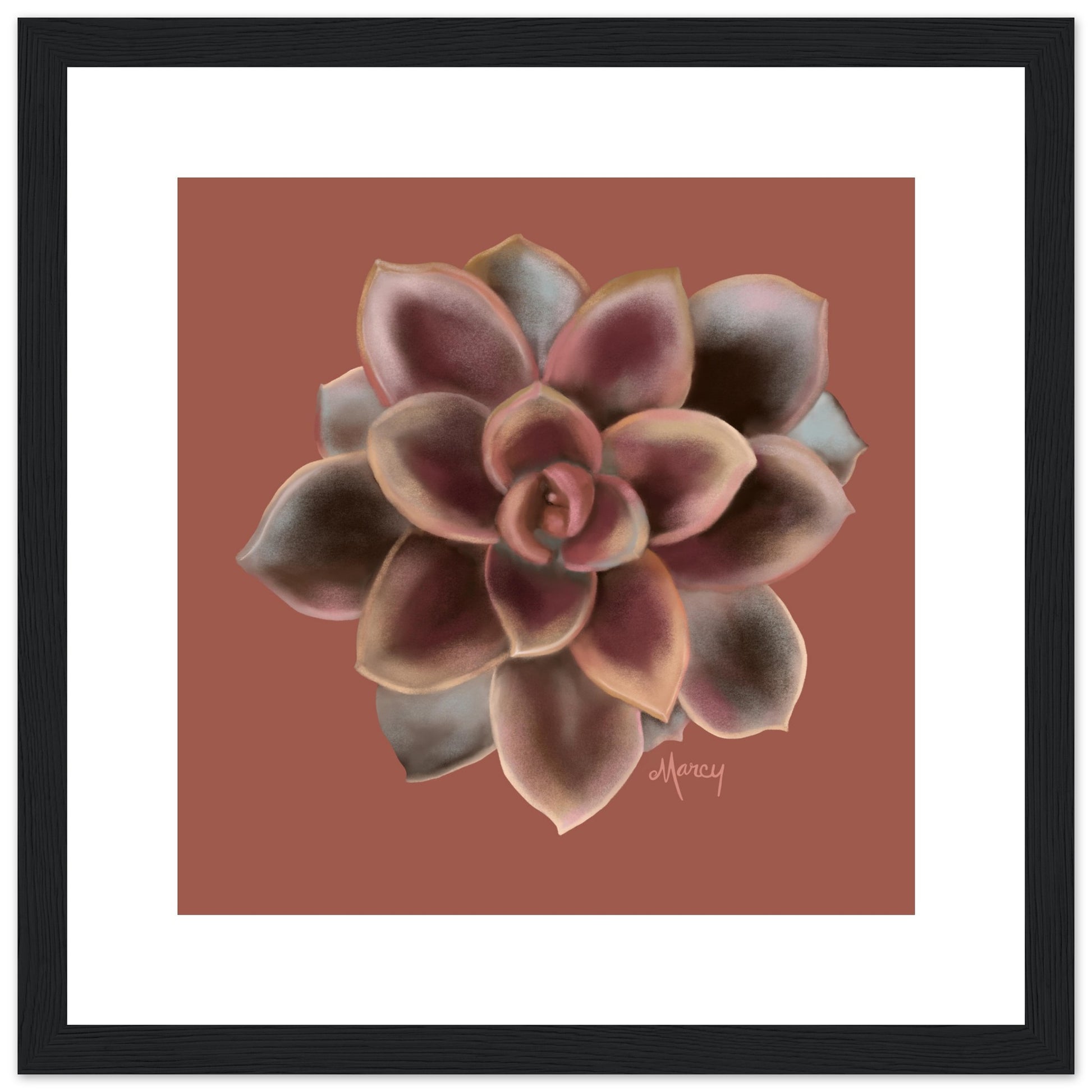 succulent mat Succulent of the Month | September | Echeveria Succulent