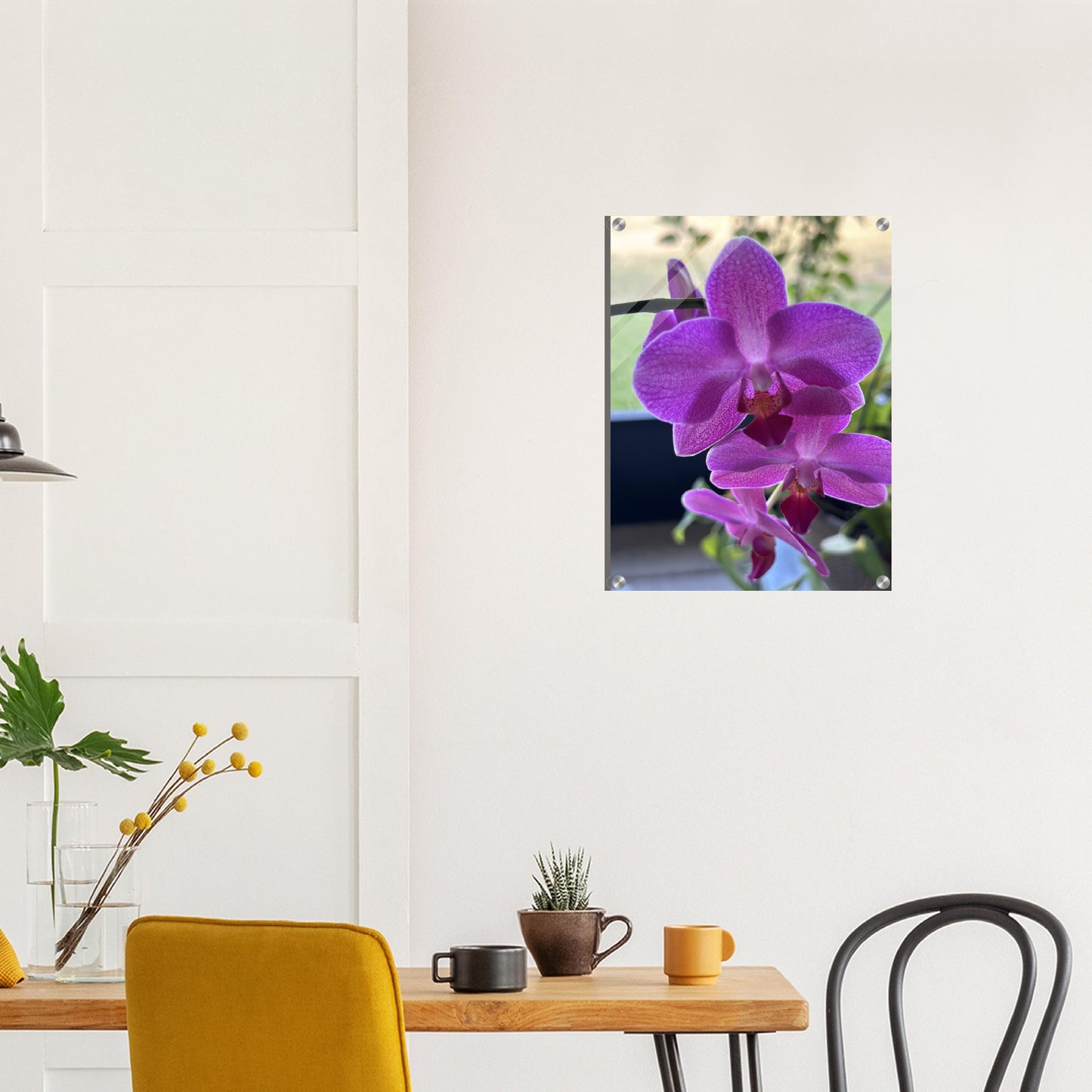 Purple Phalaenopsis Orchid Photograph Acrylic Print