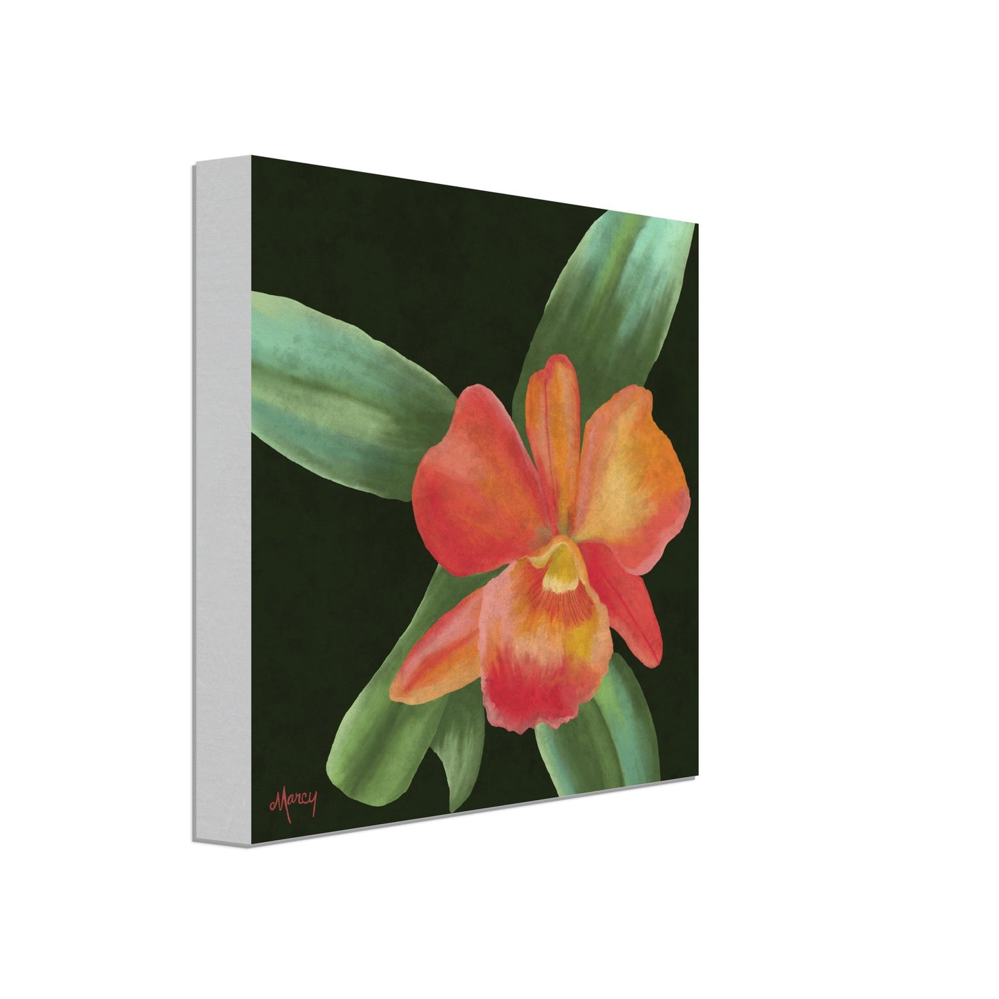 Coral Orchid on Stretched Canvas