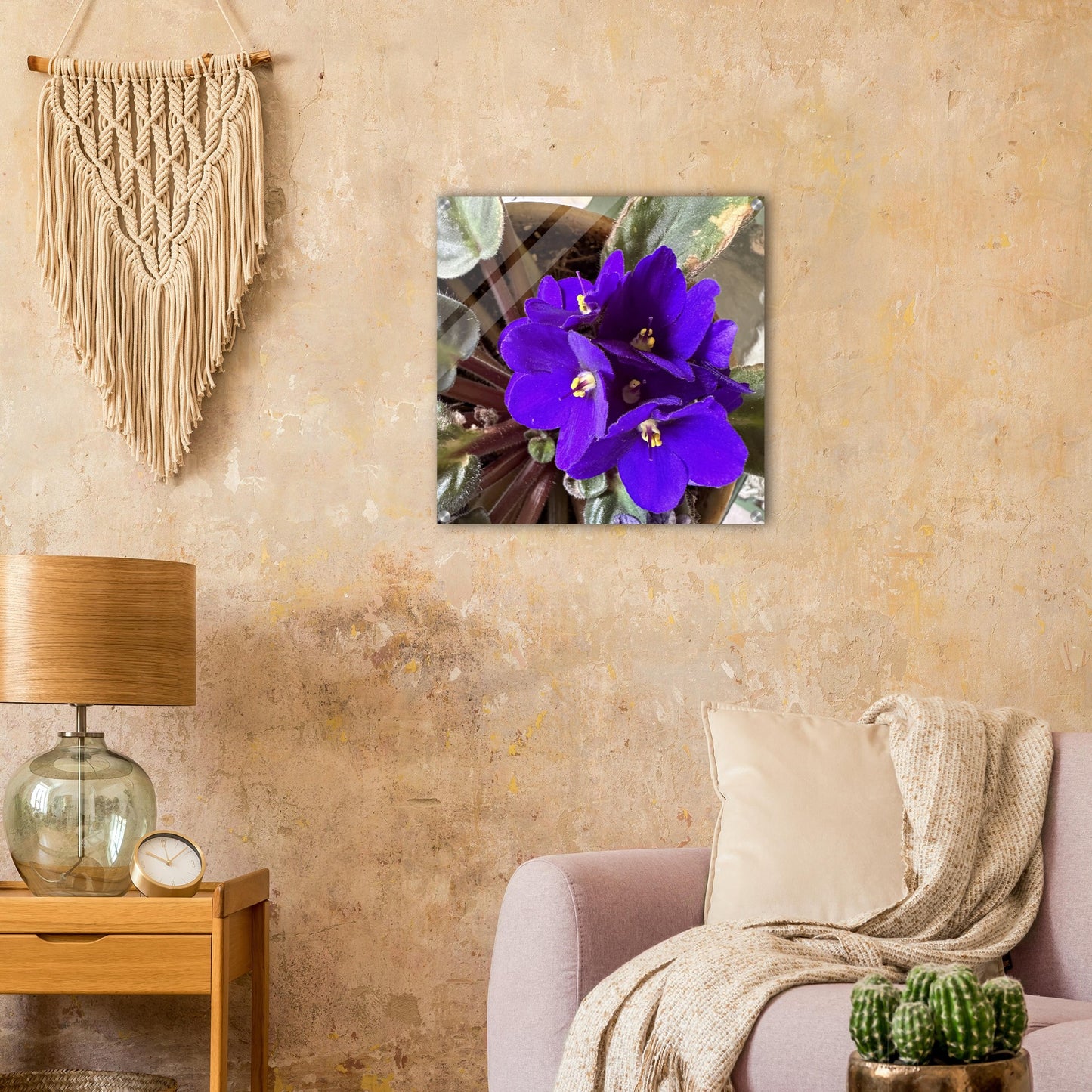 African Violet Blooms Photograph Acrylic Print
