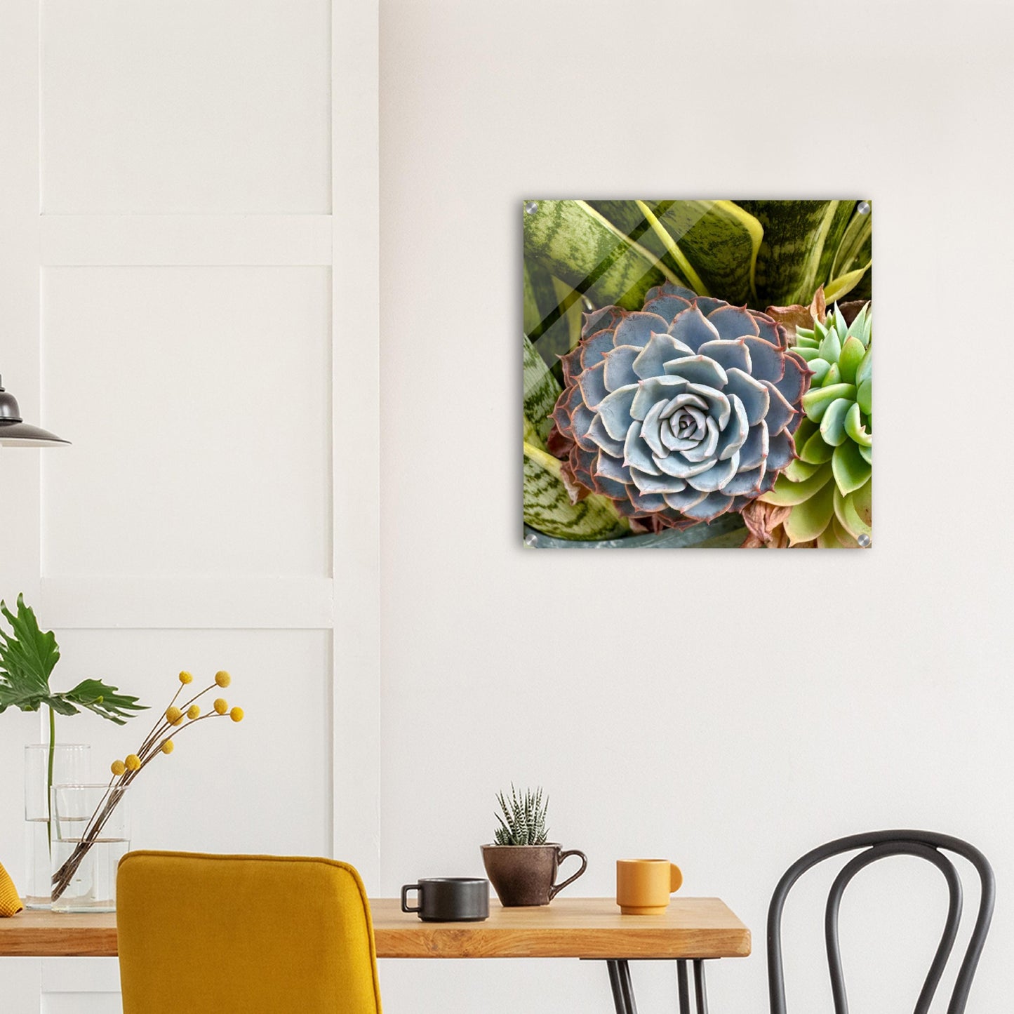 Succulent Bouquet Photograph Acrylic Print