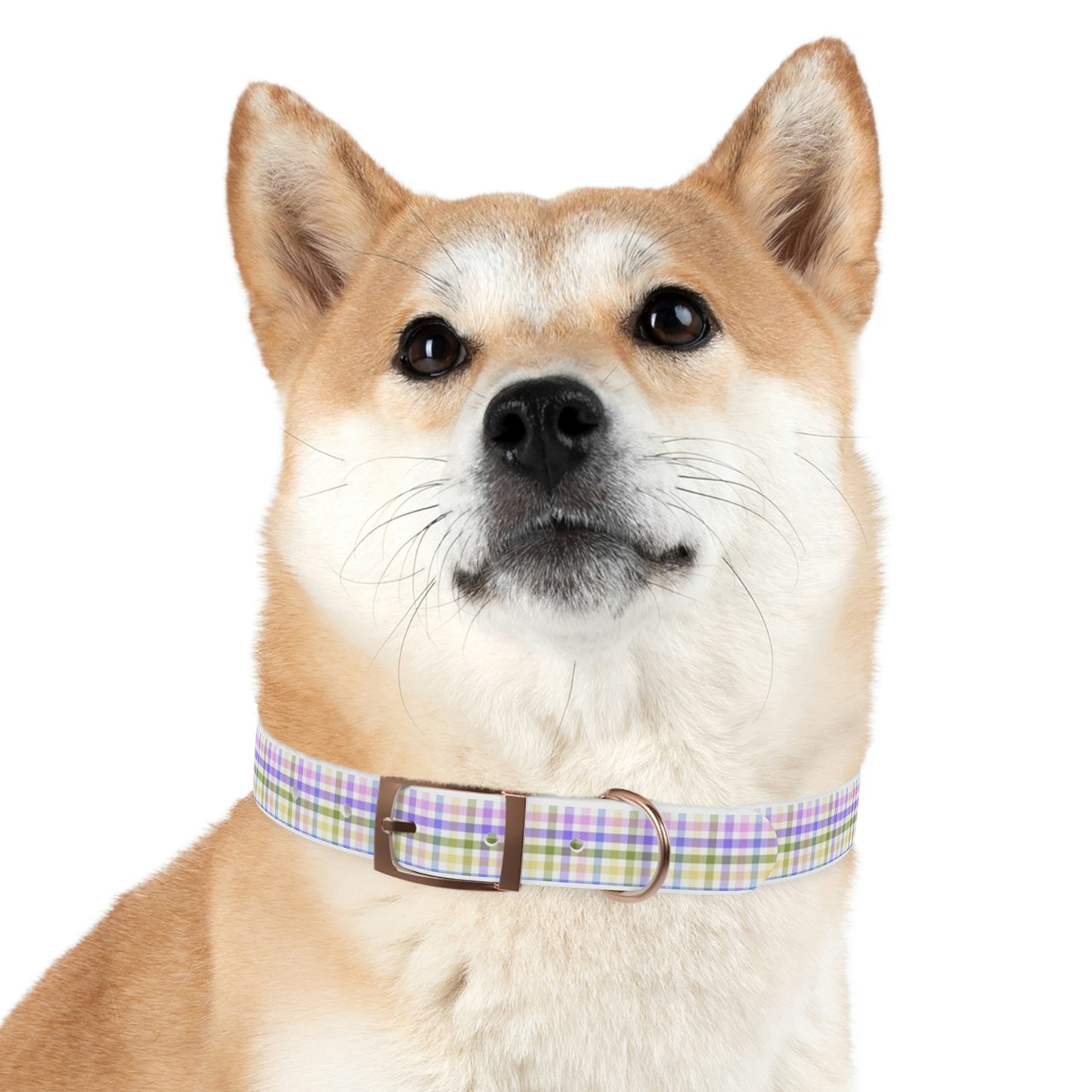English Garden Plaid Dog Collar