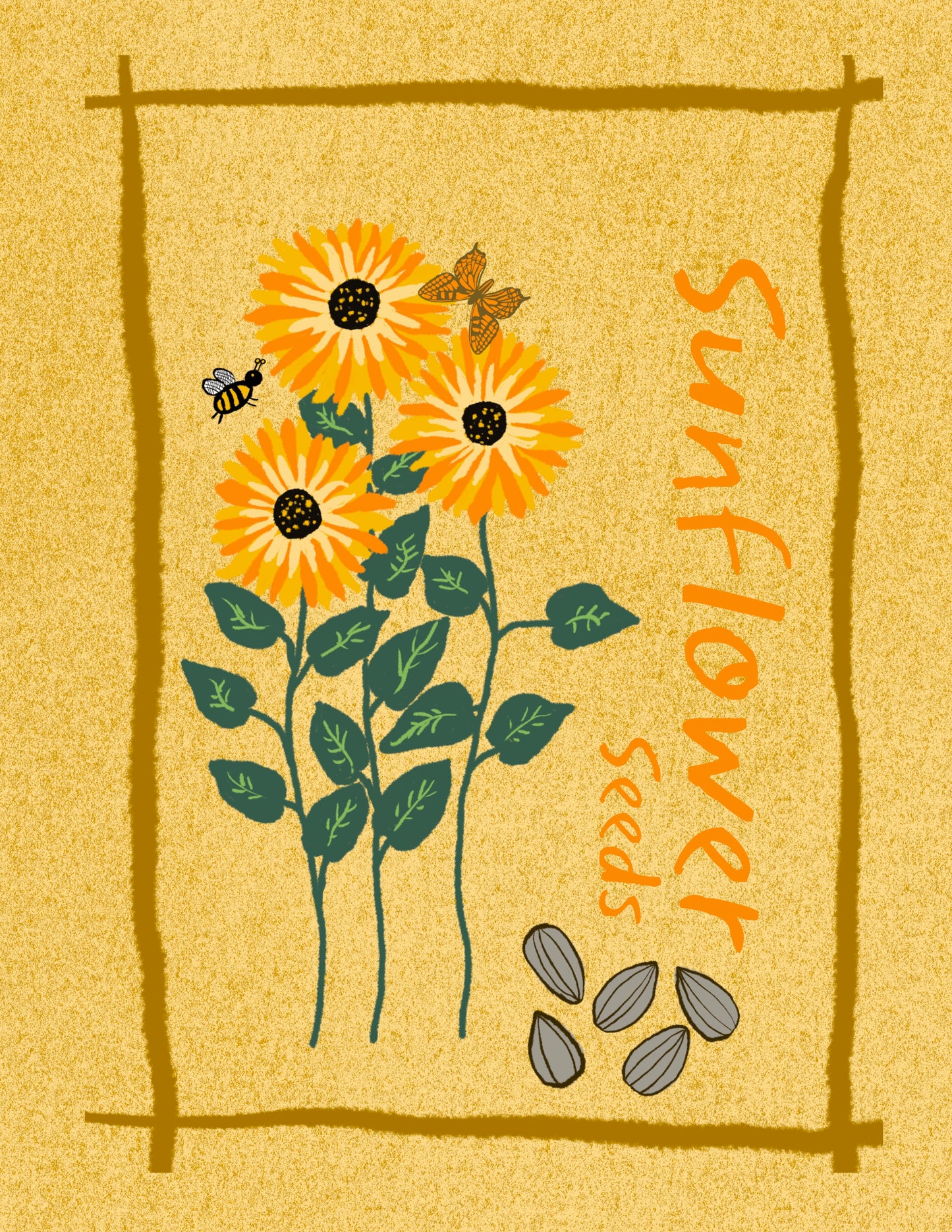 Sunflower Seeds Illustration