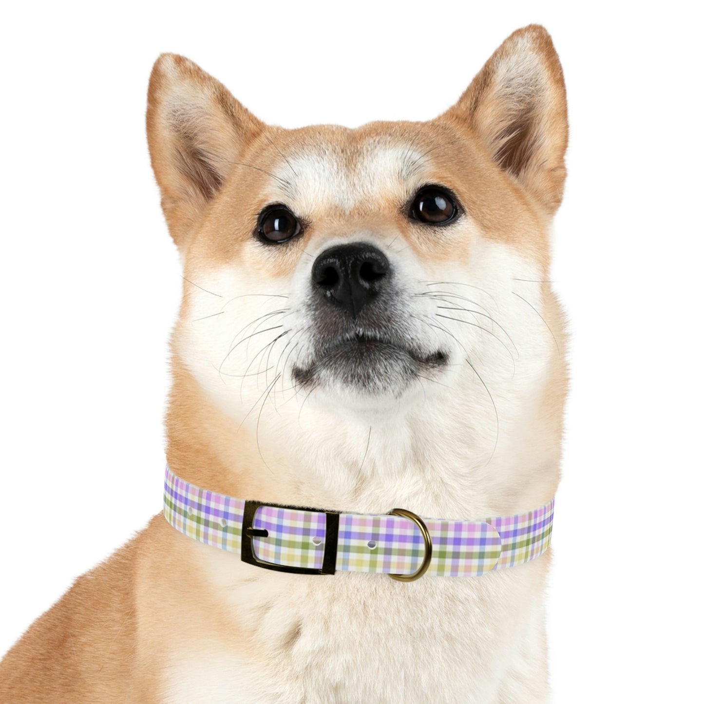 English Garden Plaid Dog Collar