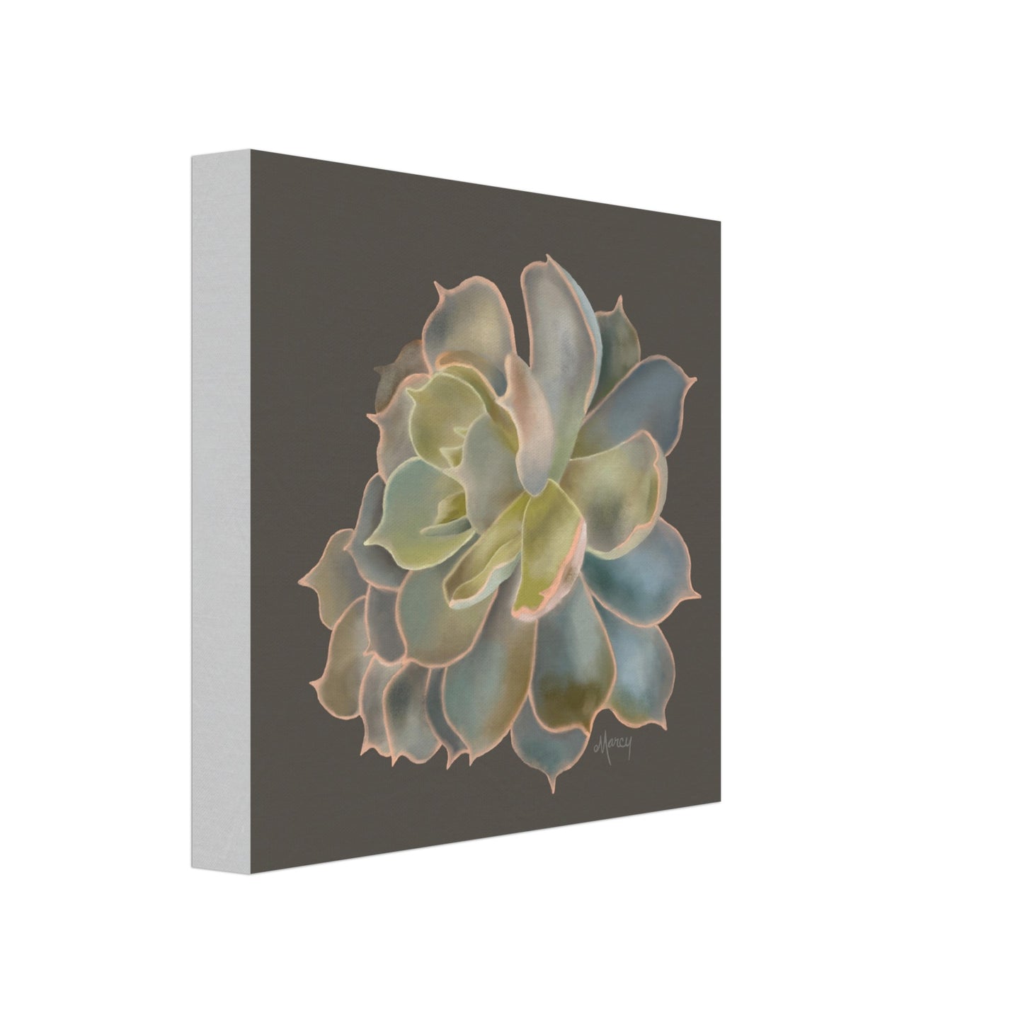 Gray and Green Succulent on Stretched Canvas