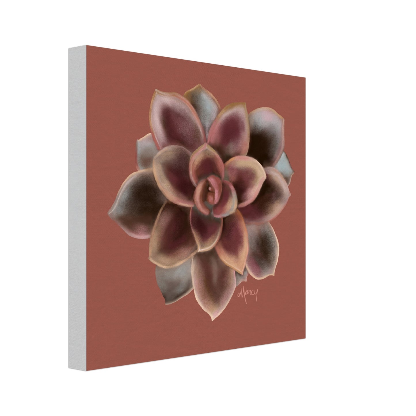 Chocolate Succulent on Stretched Canvas