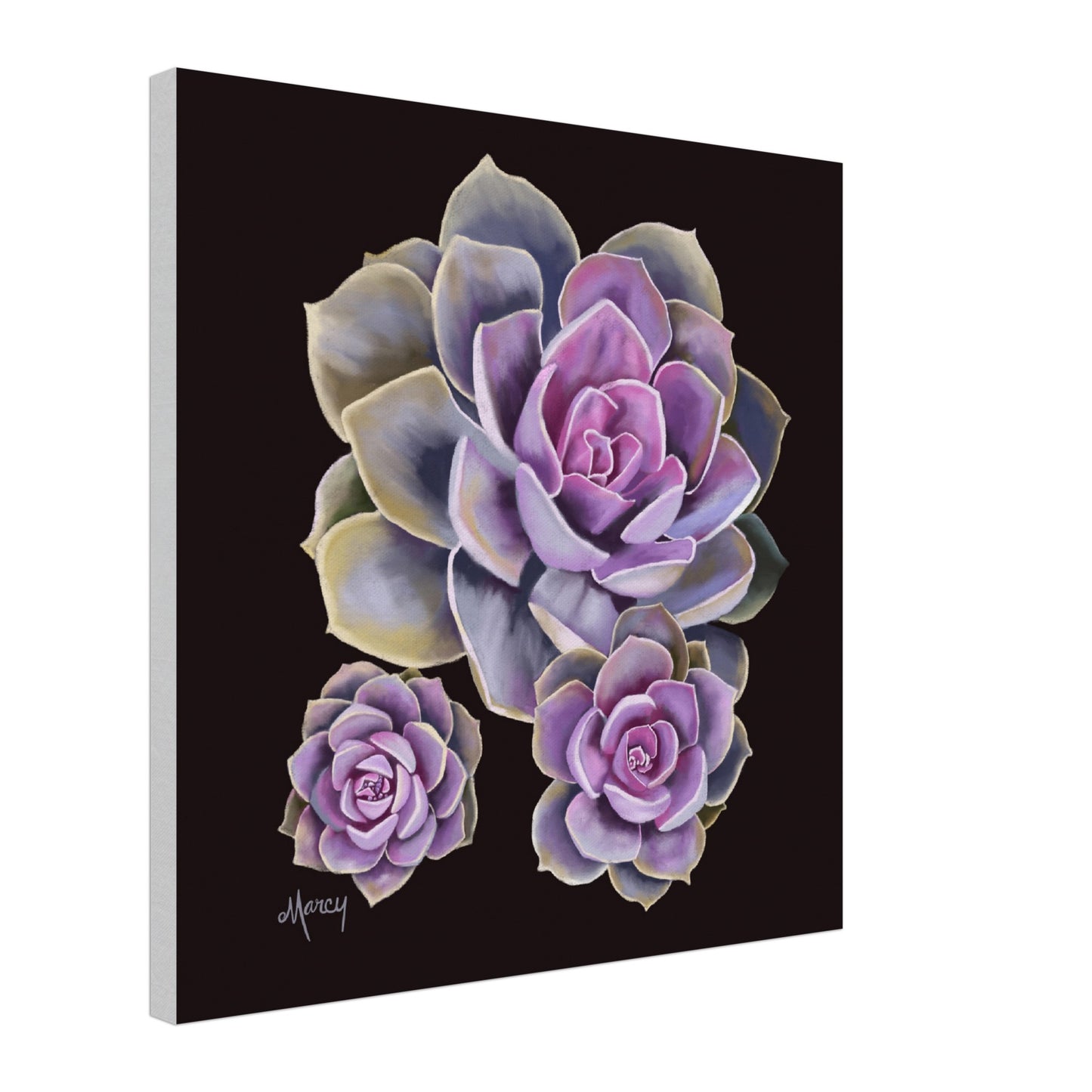 Pink Succulent Trio on Stretched Canvas