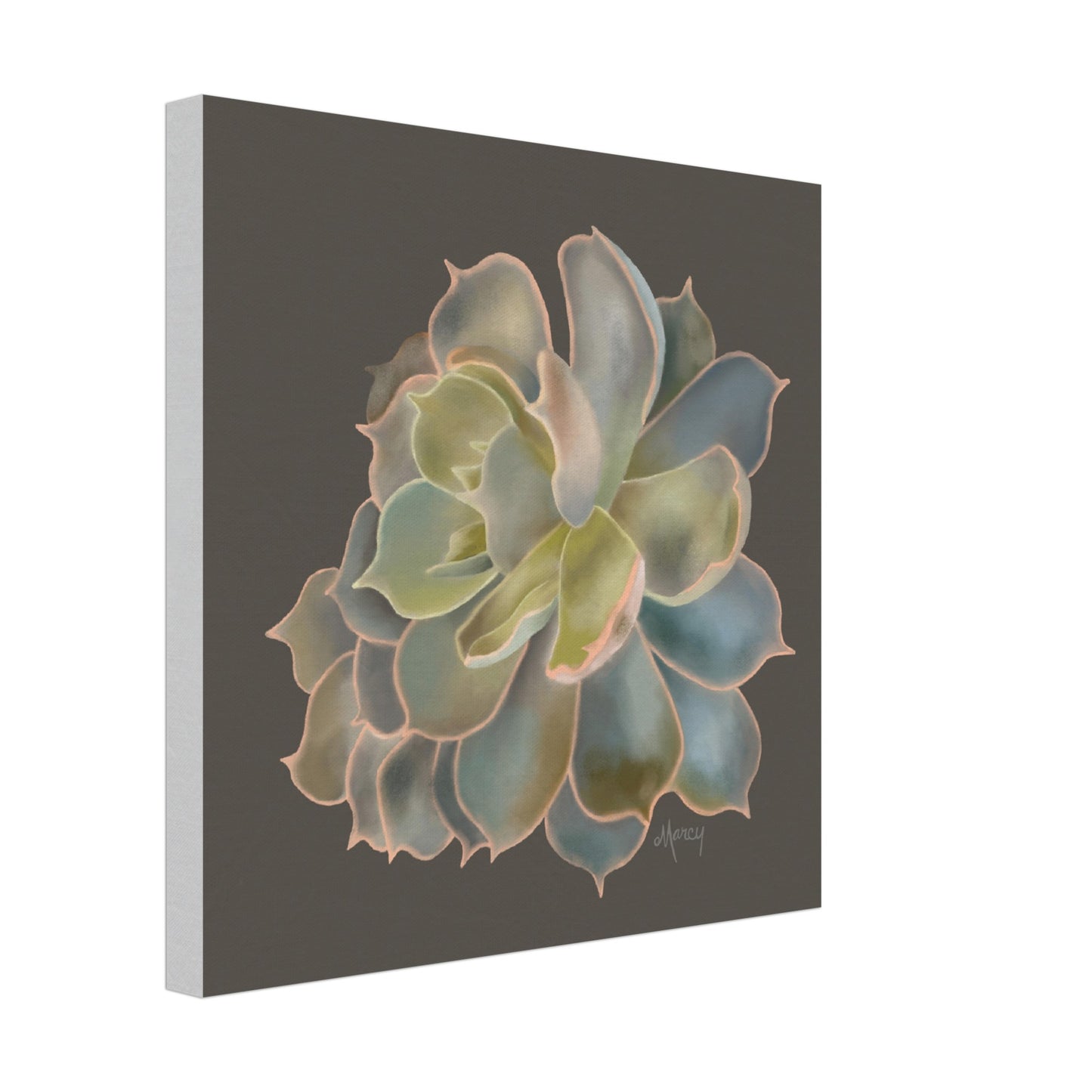 Gray and Green Succulent on Stretched Canvas