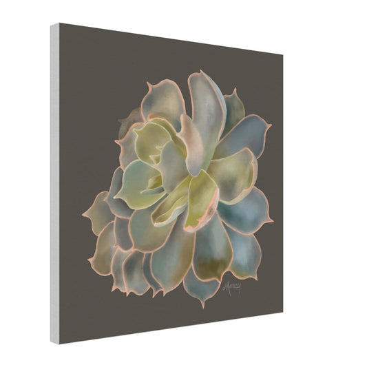 Succulent of the Month | October | on Stretched Canvas | Echeveria Succulent