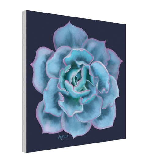 Succulent of the Month | December | on Stretched Canvas | Echeveria Succulent