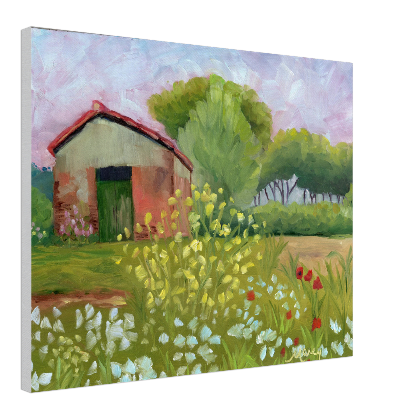 Tuscan Wildflowers & Old Garden Shed Original Oil & Stretched Canvas Prints